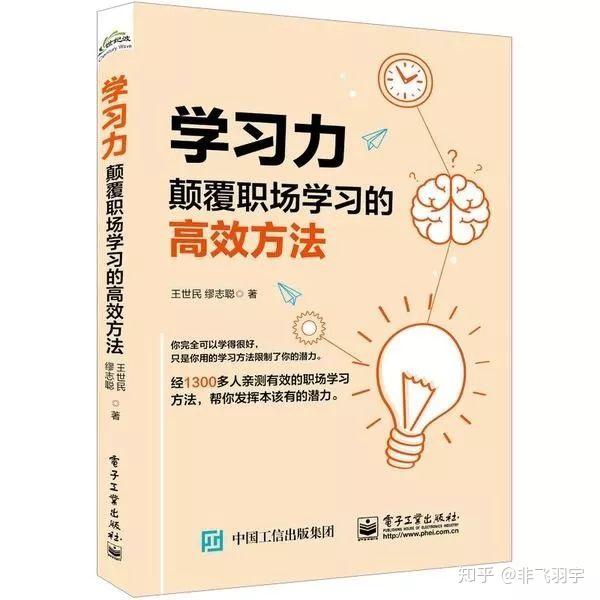 包含《M略全面指南：从入门到精通的策略与技巧》的词条