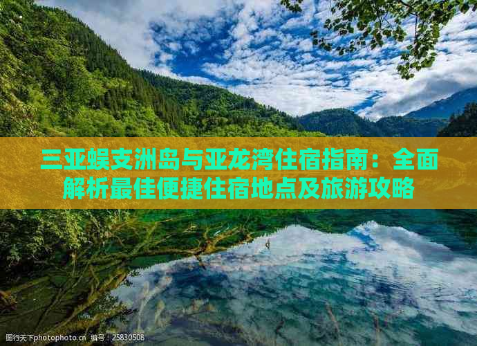 《全面解析传送门：从新手到专家的攻略指南》的简单介绍