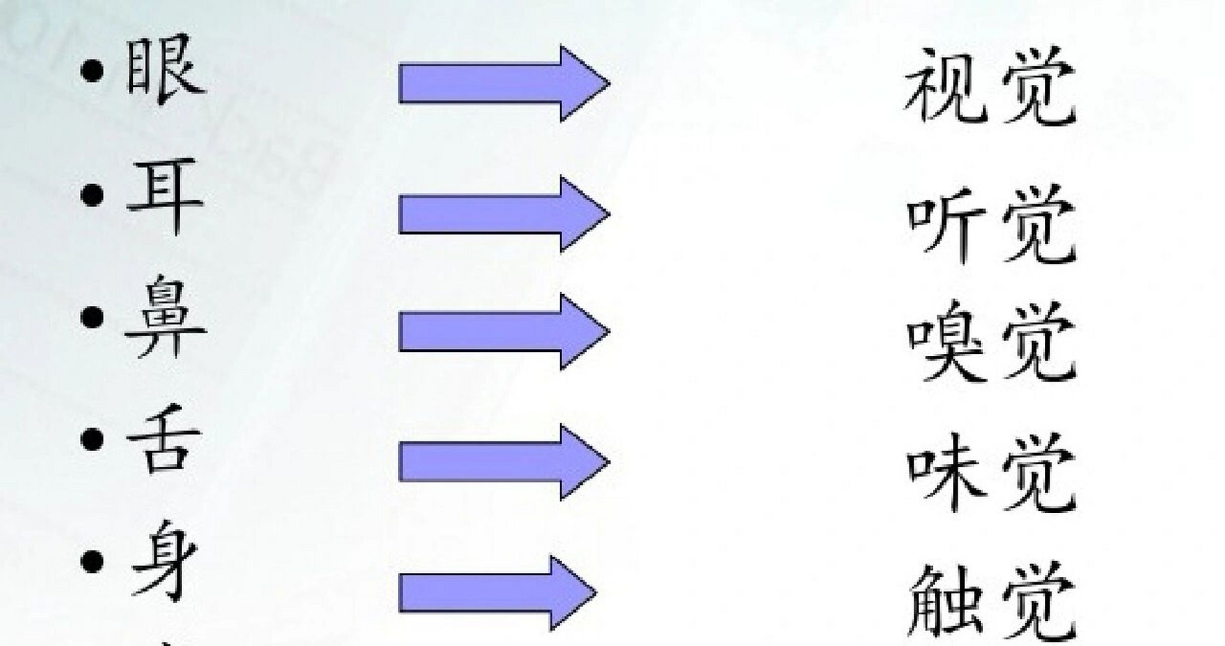 包含青木瓜之味解读：如何通过视觉和味觉感知文化与情感的深层联系的词条