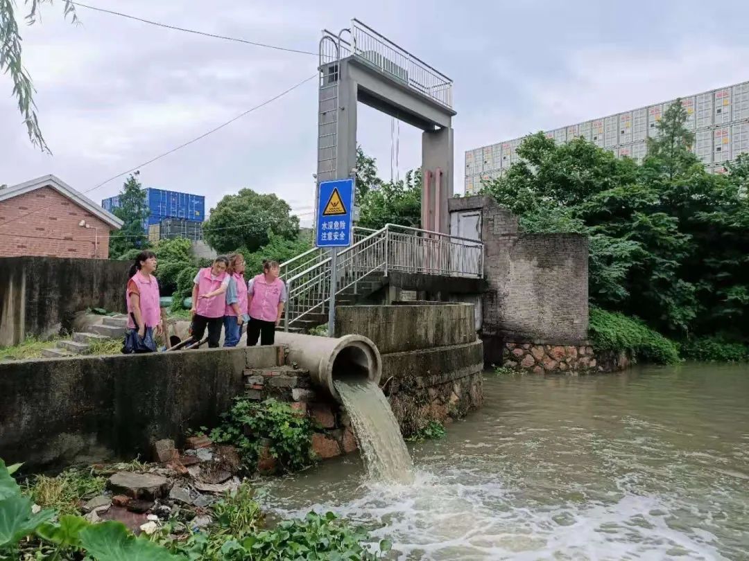 家园解读：在风雨中寻找家的意义