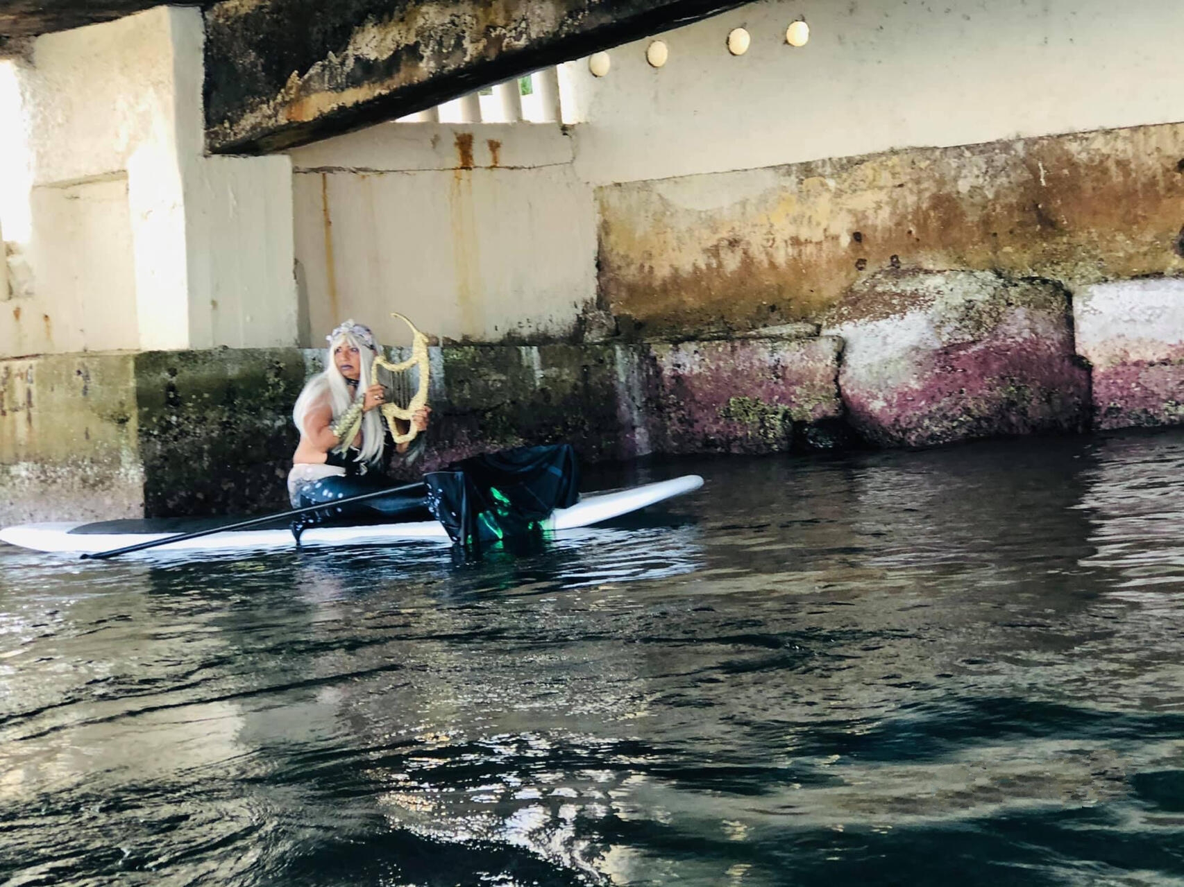 下水道的美人鱼在线观看全攻略：选择最佳平台与观看体验