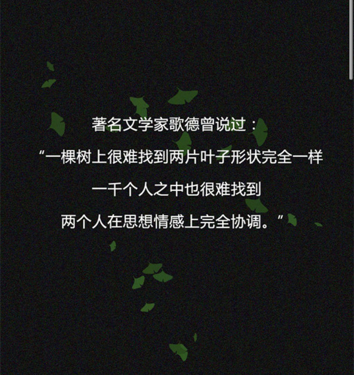 关于不良情侣：这不是一场普通的恋爱故事，而是对现代关系的深刻反思的信息