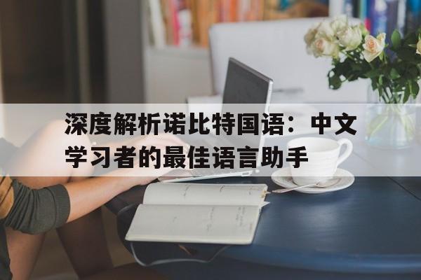 包含深度解析诺比特国语：中文学习者的最佳语言助手的词条