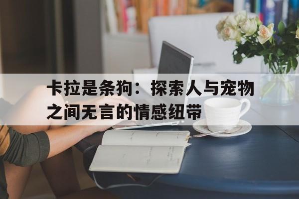 卡拉是条狗：探索人与宠物之间无言的情感纽带